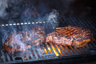 Maitsesuitsu klotsid, hake ja puru