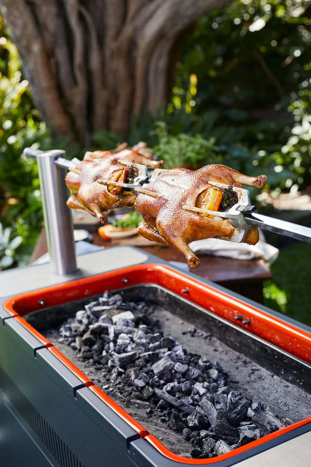 HUB™ vardaga söegrill - Everdure by Heston Blumenthal - Image 18