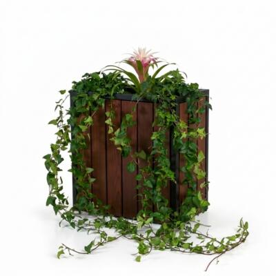 Taimekast 40cm x 70cm x 70cm